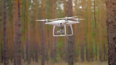 Dijital dron kablosuz olarak bir ormandaki ağaçlar arasında uçar..