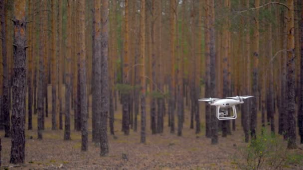 Um movimento lento do quadrocopter que voa entre árvores. Movimento lento . — Vídeo de Stock