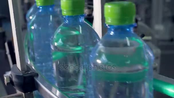 Green-capped bottles moving  for packaging. — Stock Video