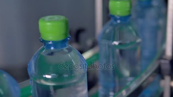 Volledige flessen met doppen overgedragen voor het labelen. — Stockvideo