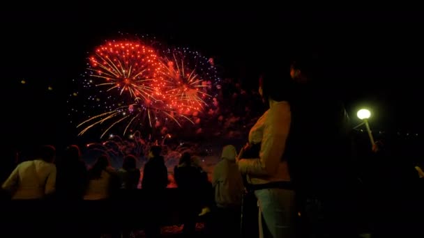 Bajo ángulo de personas viendo fuegos artificiales . — Vídeo de stock