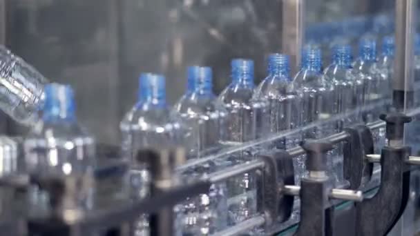 Lavado garrafas PET transportados por um transportador para processamento posterior. 4K . — Vídeo de Stock