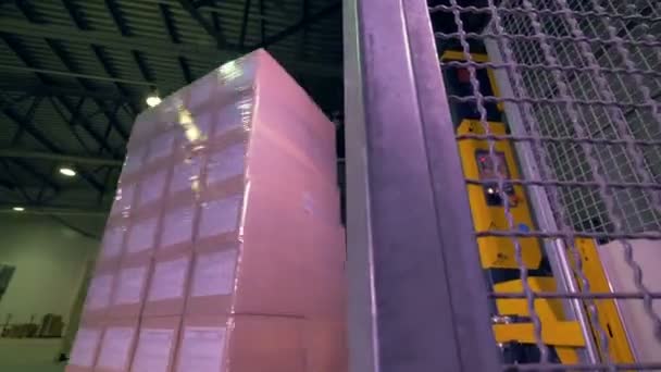 Rotující paletizovaného krabičkách vázán s filmem. — Stock video