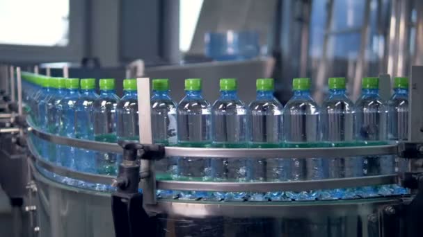 Сфокусированная изогнутая линия наполненных бутылок с питьевой водой . — стоковое видео