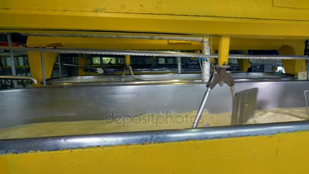 Mescolatori maglia d'acciaio mescolare il latte durante la produzione di formaggio . — Video Stock