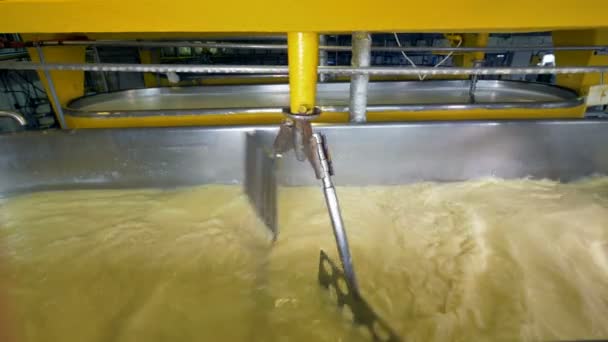 Conjunto duplo de agitadores trabalha na mistura de leite . — Vídeo de Stock
