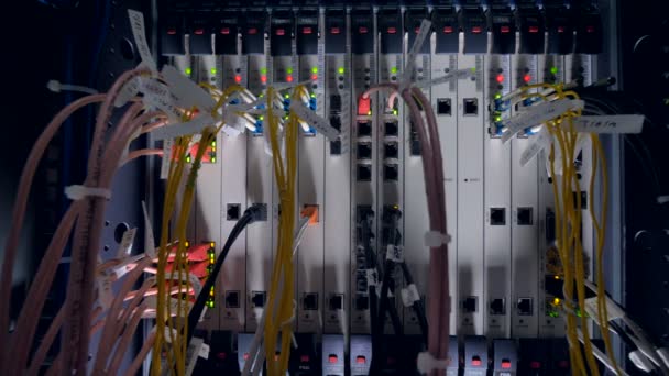 Een schakelbord in een datacenter met lege en bezette sockets. 4k. — Stockvideo