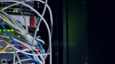 Bir sürü birçok yama halatlar bir ağ anahtarı takılı. 4k.