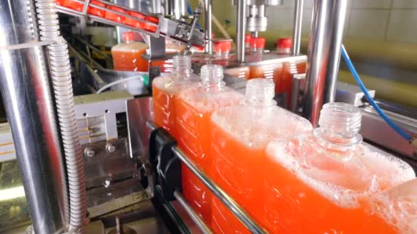 Machines d'usine mettant des bouchons sur les bouteilles . — Video