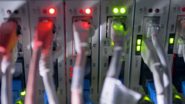 Um close-up de cabos Ethernet conectados a um interruptor . — Vídeo de Stock
