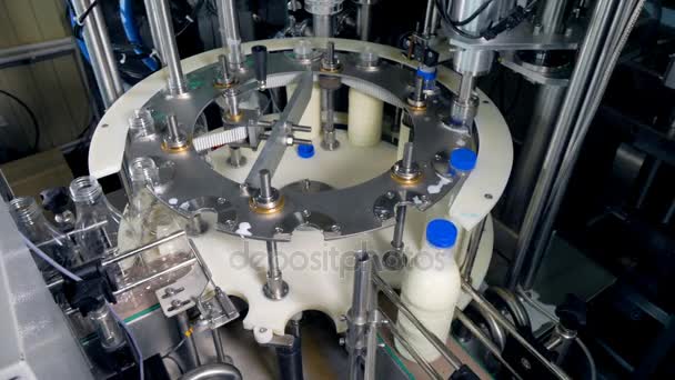 Linha infinita de garrafas de leite durante o processo de engarrafamento . — Vídeo de Stock