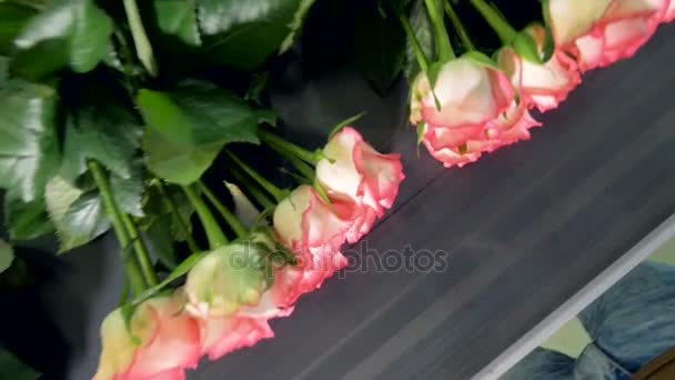 Růže svázaný na dopravník. Pohled shora. — Stock video