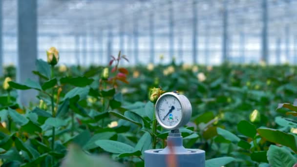 Humidity sensor at a giant greenhouse. — Stock Video