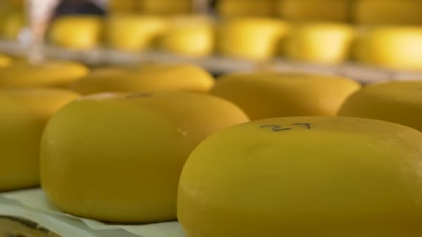 Almacenamiento organizado de queso en la fábrica de quesos . — Vídeos de Stock