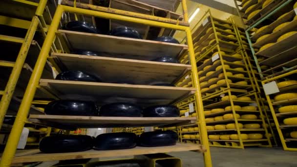 Un gran almacén con bastidores llenos de ruedas de queso cubiertas de cera negra y amarilla. 4K . — Vídeos de Stock