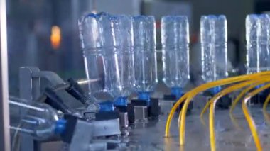 Boş plastik şişeler üzerine döndü ve içinde yıkanmış.