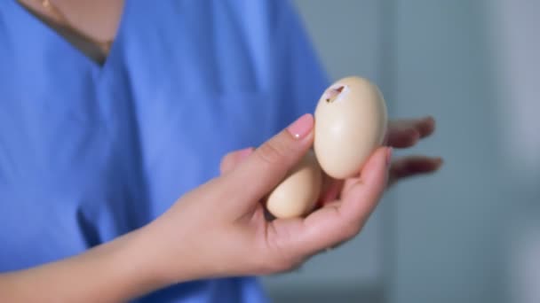 Kyckling kläckning från ägg på en gård. Jordbrukaren innehar ett ägg. 4k. — Stockvideo