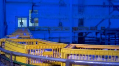 Sarı kafes kutular içinde birçok tavuk gizle.