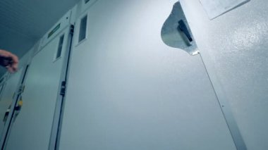 Tavuk yumurta çiftliği kuluçka, modern tarım donatım.