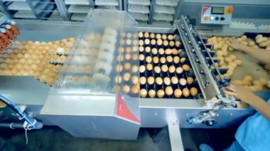 Otomatik üretim hattı hareket yumurta. 4k.
