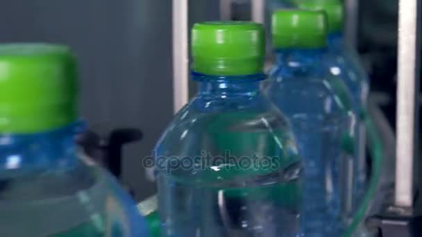 Botellas de agua con tapas verdes en un transportador. 4K . — Vídeos de Stock