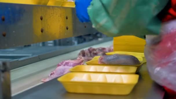 Un travailleur emballe manuellement les carcasses de poulet sur des contenants en plastique jaune. 4K . — Video