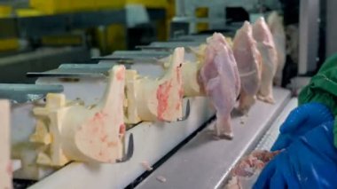 İşçilerin eldiven her tavuk göğsü kemik ile dikey olarak yerleştirin.