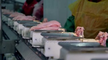 Koruyucu giyim işçi ihale tavuk göğsü konveyör tepsiye yerleştirin..