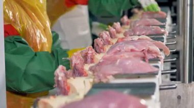 İşçiler çok hareketli tepsi tavuk Göğüs eti ağır parçalar ile doldurun. 4k.