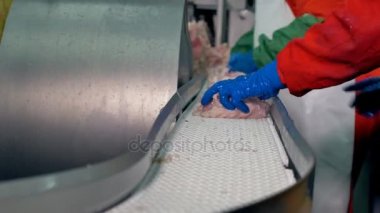 İşçiler tavuk göğsü kalite kontrol ve işleme için yer.