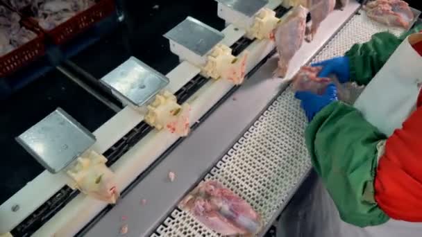 Pohled shora na pracovníky instalace kuřecí prsa do vertikální sloty. — Stock video