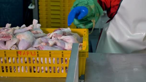 Trabalhadores mãos remover pernas de frango da cesta a granel em pacotes individuais . — Vídeo de Stock