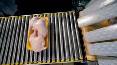 Film sarılı tavuk göğsü kapsayıcı hareket halinde bir konveyör hattı.