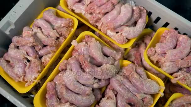 Muchas bandejas amarillas llenas de cuellos de pollo crudo . — Vídeo de stock