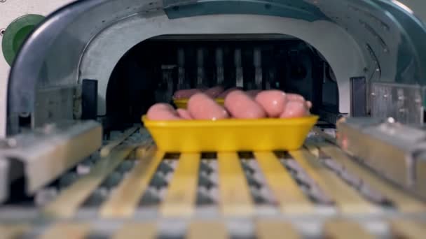 Muitas bandejas com salsichas colocadas para embrulho automático . — Vídeo de Stock