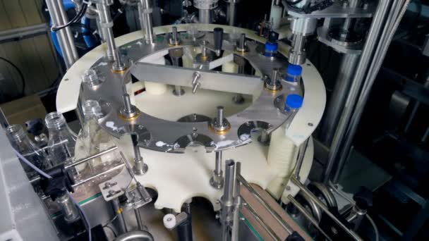 Empty bottles enter a milk filling machine. — Stock Video