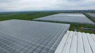Havadan görünümü seralar üzerinde. 4k.