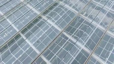 Tarım sanayi kavramı. Seralar üzerinde casus uçak fly. 4 k hava atış.