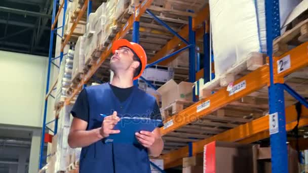 Een magazijnmedewerker inspecteert magazijn-opslagplaats. — Stockvideo