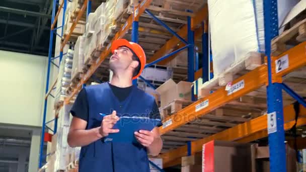 A warehouse employee inspects warehouse storage place. — Stock Video