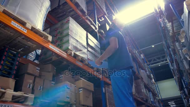 Une installation de stockage de fret prenant des notes sur une large gamme de marchandises stockées . — Video