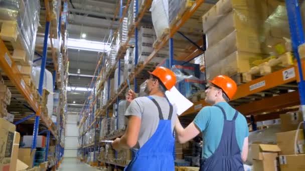 Dois inspetores conversam durante o trabalho em um armazém em uma visão traseira . — Vídeo de Stock