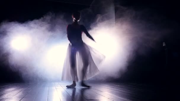 Een balletdanser springt in het donker. — Stockvideo