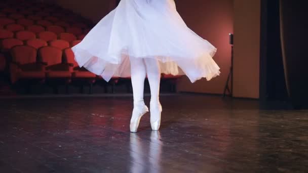 Bailarinas piernas girando y haciendo que su falda larga fluya durante pasos puntiagudos. HD — Vídeos de Stock