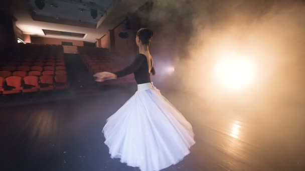 Une ballerine se retourne avec un dos parfaitement droit . — Video