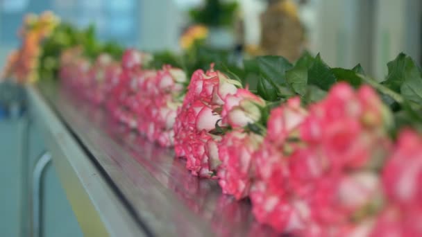 Bloemen industrie. Mooie rozen op transportband in bloem fabriek. — Stockvideo
