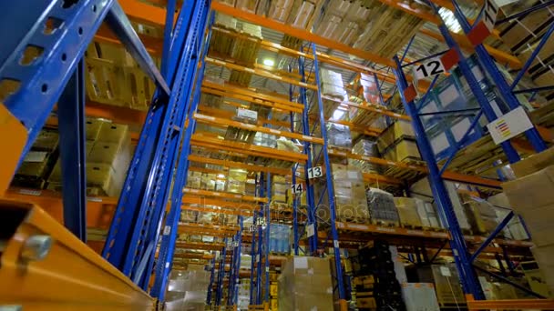 Velká průmyslová interiér skladu. Skladovací zařízení bez lidí. 4k. — Stock video