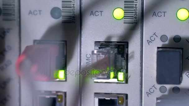 Villogó LED-es lámpák az adatok szervert. 4k. — Stock videók