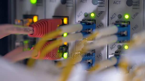 Flashing LED lights at working data servers. 4K. — Stock Video