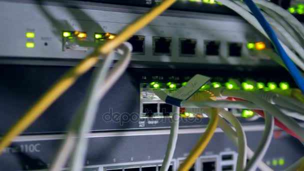 Glödlampor i en nätverksserver för data. 4k. — Stockvideo